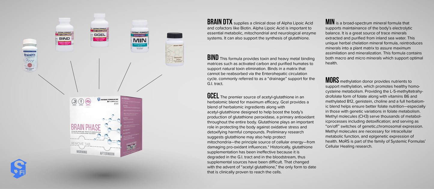 Brain Phase Kit Systemic Formulas