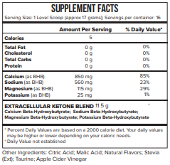 Extracellular Ketones 280g Systemic Formulas