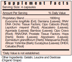 M+ Male/Endocrine Systemic Formulas