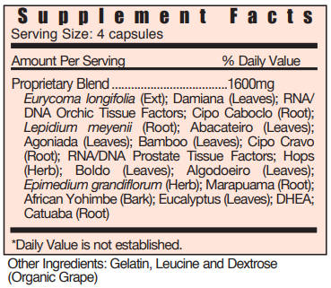 CXM+ Male Endocrine 1/2oz Systemic